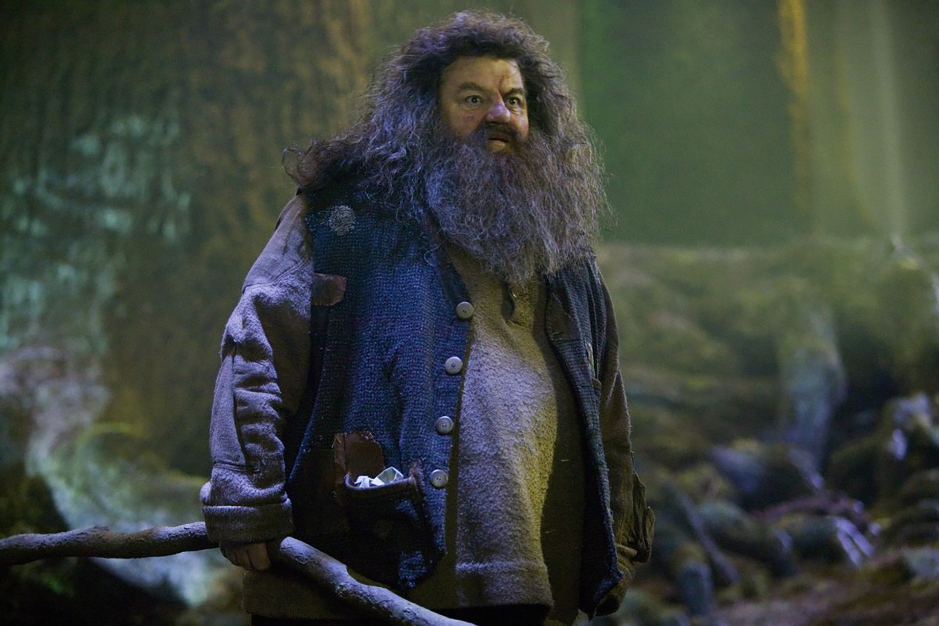 Робби Колтрейн в роли Хагрида в серии фильмов о Гарри Поттере
